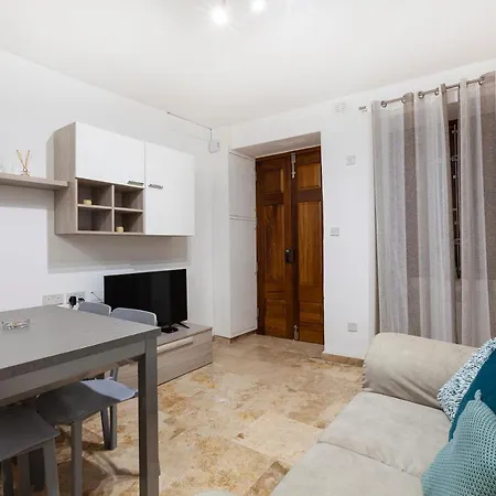 Cheerful Designer With Comfy Sofa In Appartement *