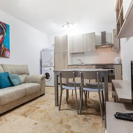 Cheerful Designer With Comfy Sofa In Appartement *